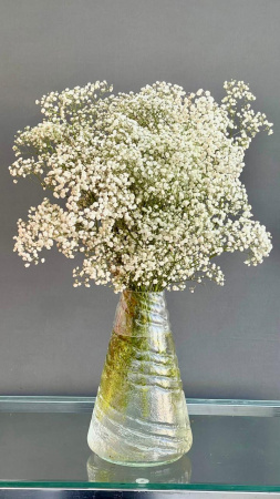 Гипсофила ветка